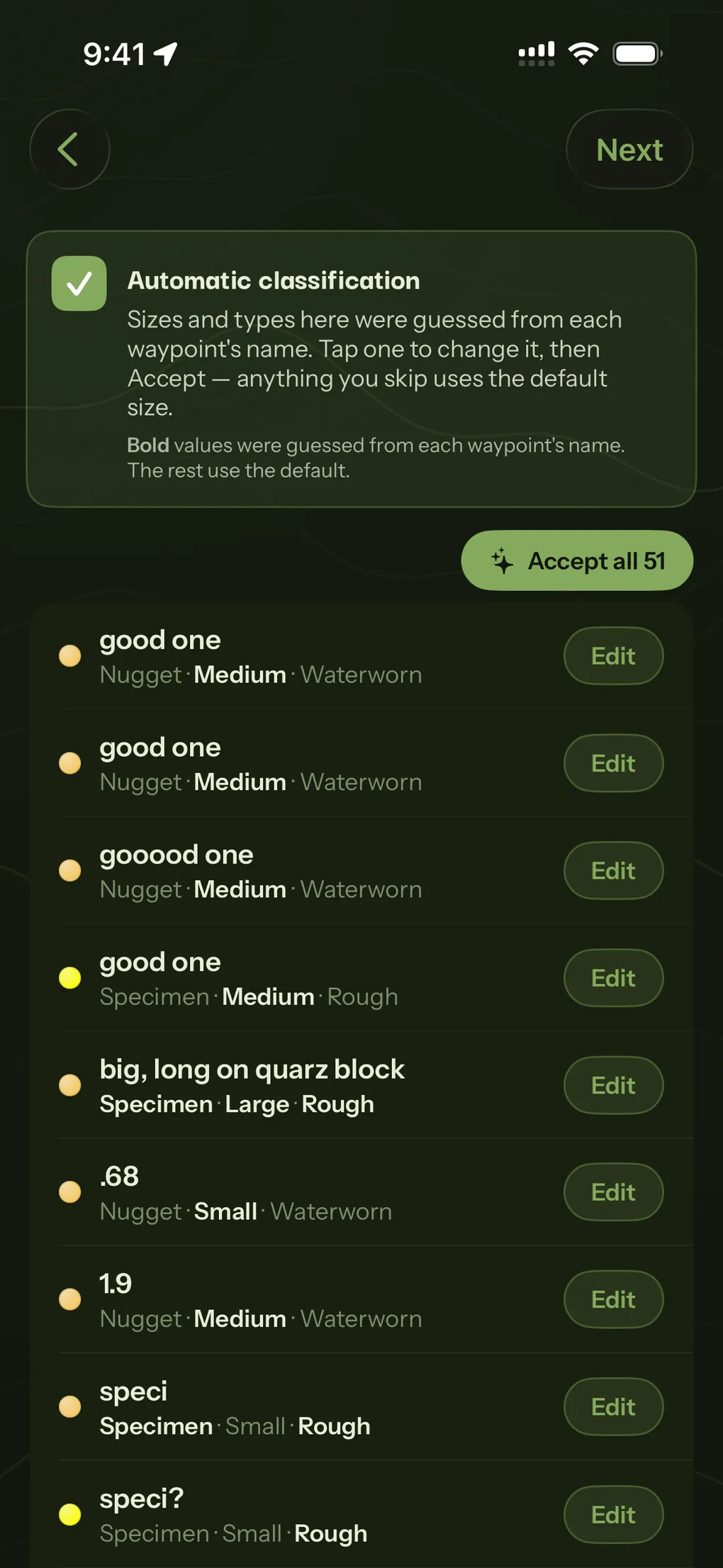 Imported finds with their size and type guessed from the name of each waypoint, each one editable, above an Accept all button.